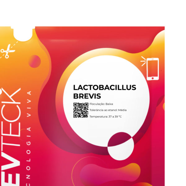 Lactobacillus Brevis Detalhe