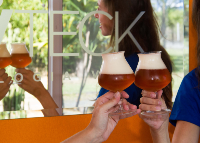 duas pessoas brindando com taças de cerveja